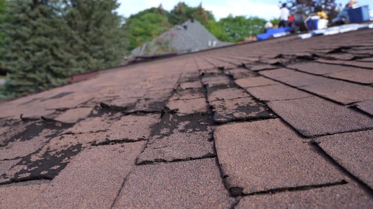 Best Solar Panel Roofing Installation  in Glen Rose, TX
